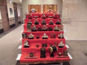 200225_雛人形祭り(チャームスイート新井薬師さくらの森 弐番館)