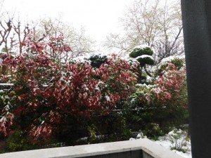 200329_ホームの外の雪景色（チャームプレミア目白お留山）