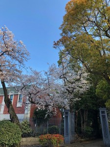 200401_ホーム周辺の風景その①（チャームプレミア山手町）