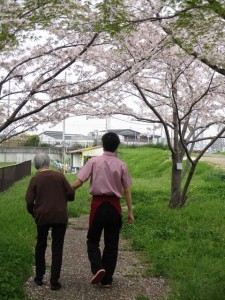 200403_お花見散歩（チャームやまとこおりやま）