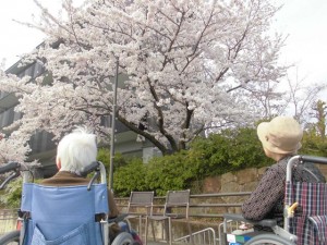 200403_お花見（チャームスイート京都桂坂）
