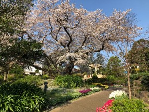 200404_港の見える丘公園周辺の景色③（チャームプレミア山手町）