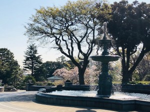 200406_港の見える公園周辺の景色④（チャームプレミア山手町）