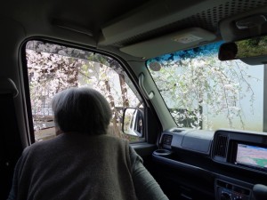 200406_花見ドライブ（チャーム長岡京）