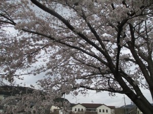 200331_ドライブ(チャーム京都山科）
