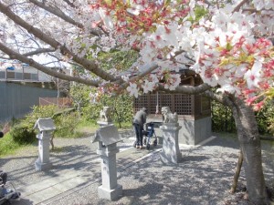 200401_お花見レク（チャーム長岡天神）