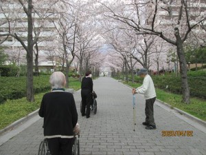 200423_お花見（チャームスイート西宮浜）