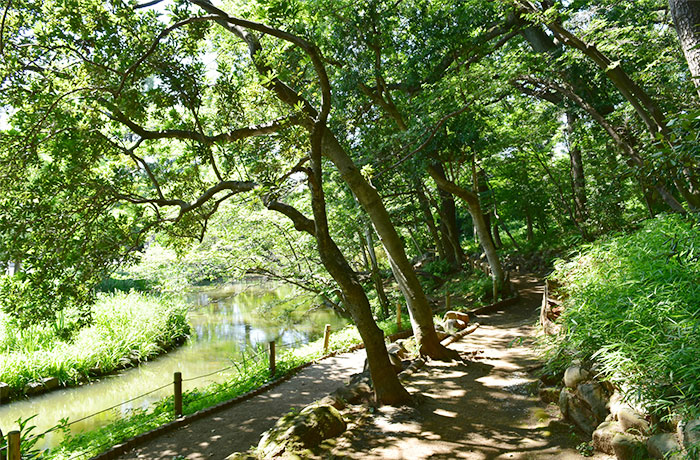 宝来公園 - チャームプレミア 田園調布 | 東京都世田谷区の介護付有料老人ホーム（介護施設）