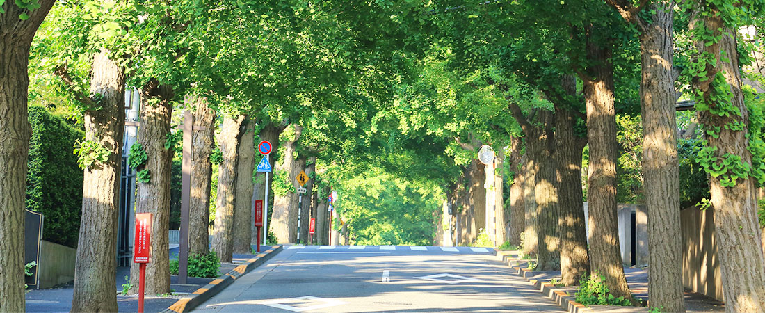 日本で初めての庭園都市として開発された理想的な住宅地田園調布 - チャームプレミア 田園調布 | 東京都世田谷区の介護付有料老人ホーム（介護施設）